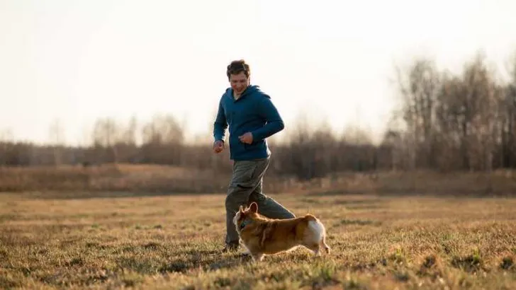 Are Corgis Good Running Partners?