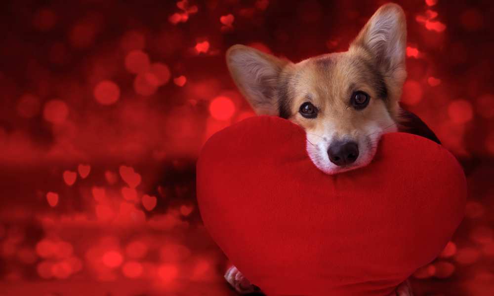 Do Get Attached To One Person? Care