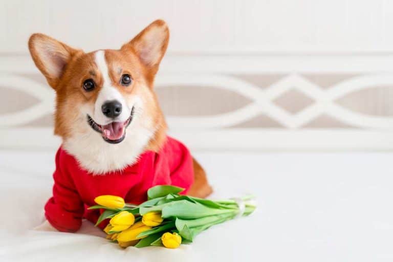 Do Need Jackets? Care