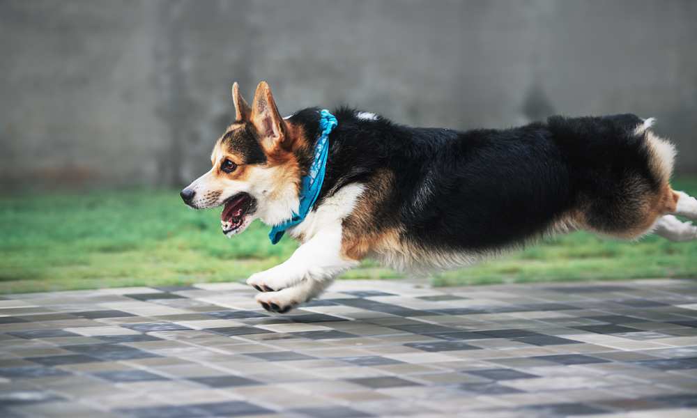 How To Calm Down A When Do Settle Down? Care