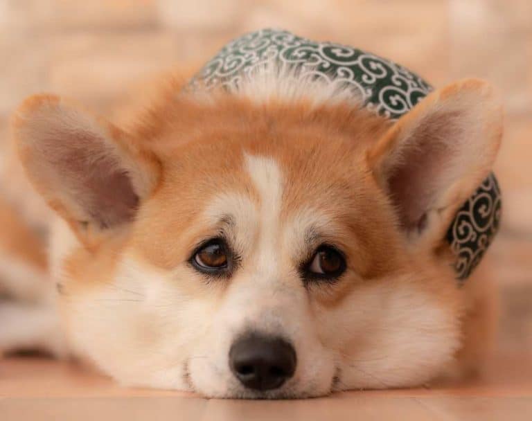 Do Need Jackets? Care